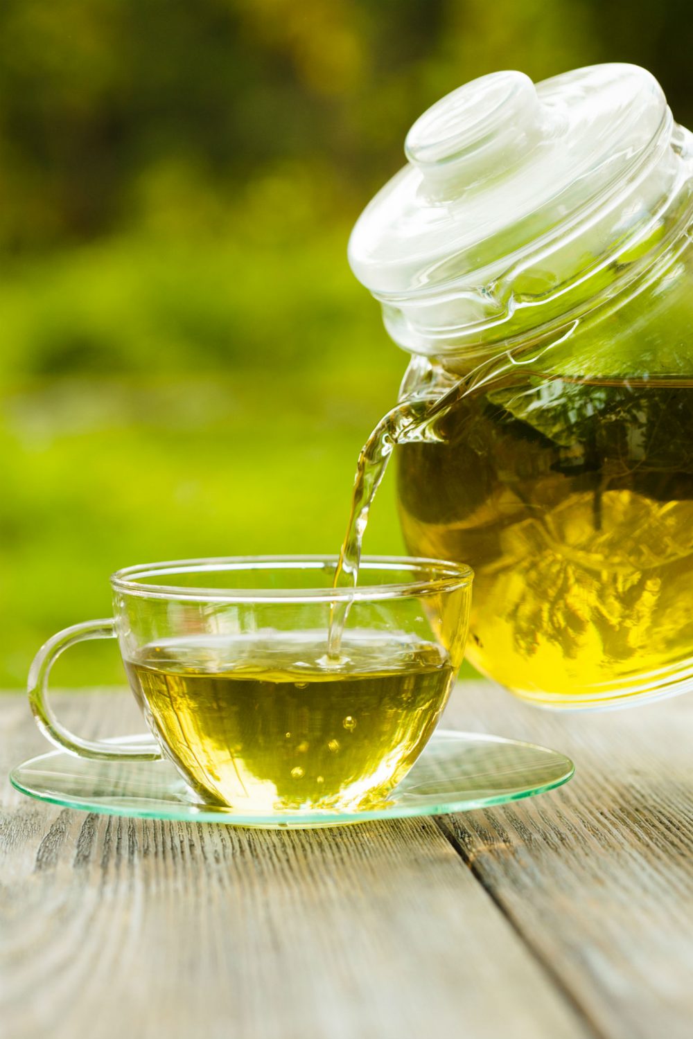 The Healing Power and Energetics of Herbs and Herbal Teas