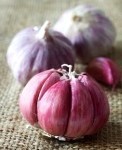 garlic-bulbs-over-rustic-background