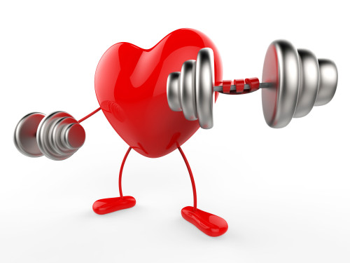 Weights Heart Shows Working Out And Active